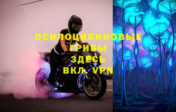 метадон Коряжма