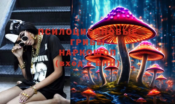 метадон Коряжма